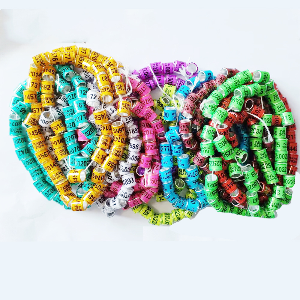 Set 50 Vòng Gắn Chân Chim Bồ Câu 8 * 11mm 2024