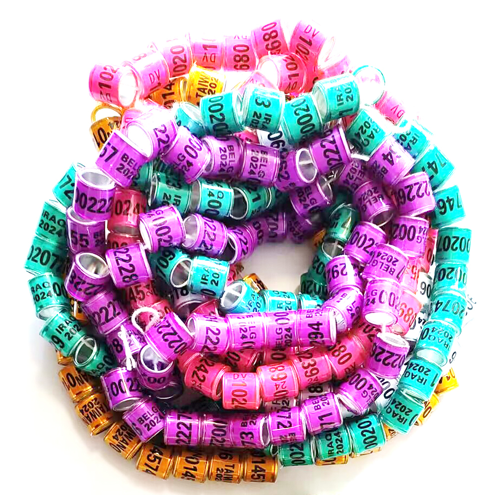 Set 50 Vòng Gắn Chân Chim Bồ Câu 8 * 11mm 2024