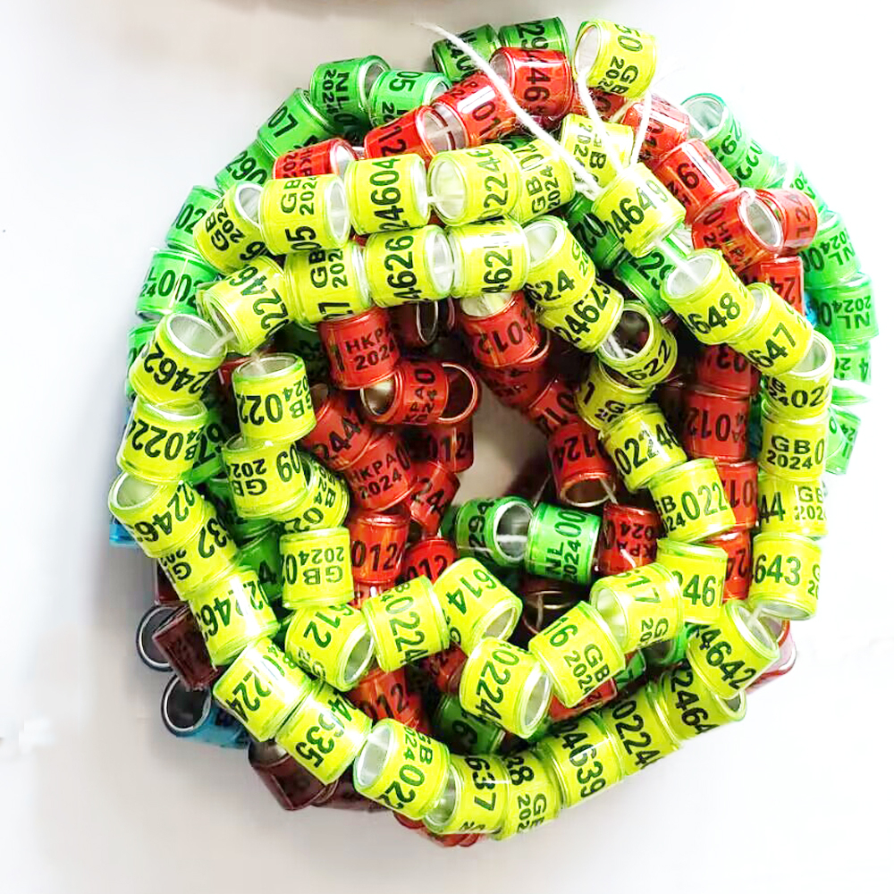 Set 50 Vòng Gắn Chân Chim Bồ Câu 8 * 11mm 2024