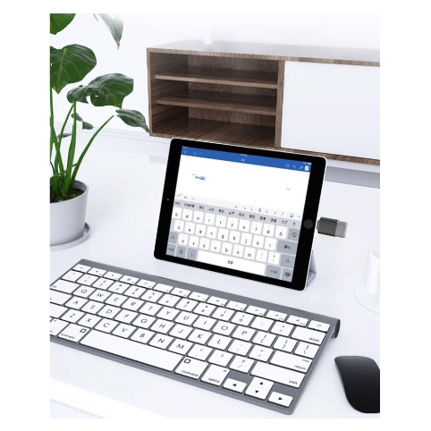 Ổ Đĩa Flash OTG USB Cho iPhone Và IOS