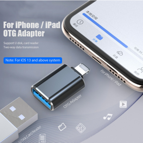 Ổ Đĩa Flash OTG USB Cho iPhone Và IOS