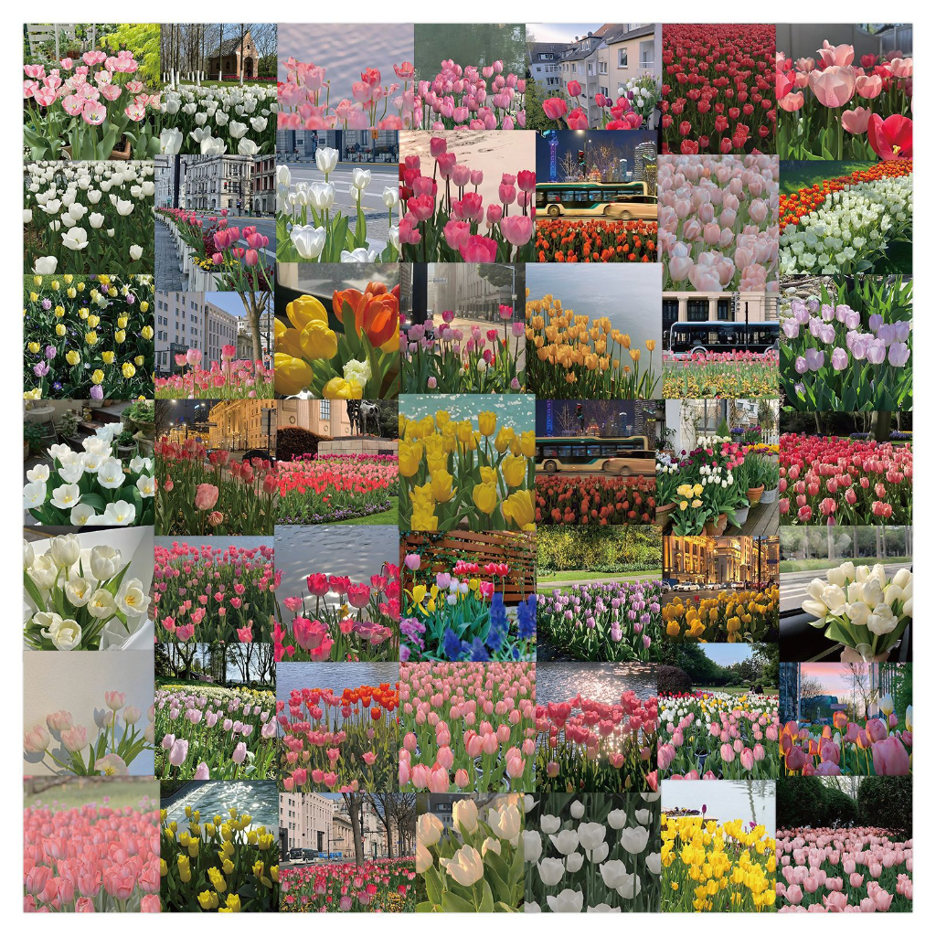Bộ 60 Miếng Dán Hình Hoa Cúc / Cây Hoa Tulip Kiểu Vintage Trang Trí Sổ Tay / Nón Bảo