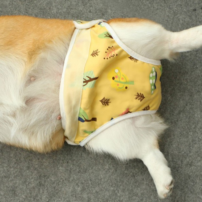 Quần Vệ Sinh Bằng Cotton Có Dây Đeo Tùy Chỉnh Cho Thú Cưng Chó Bull