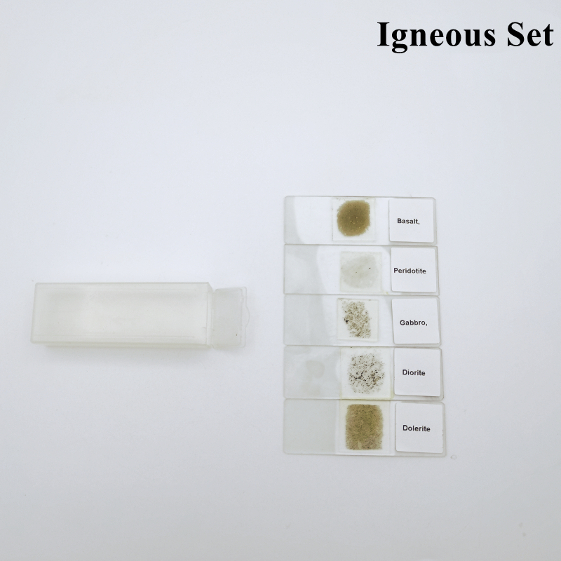 Set 5 Kính Hiển Vi Dạng Trượt Chuyên Dụng