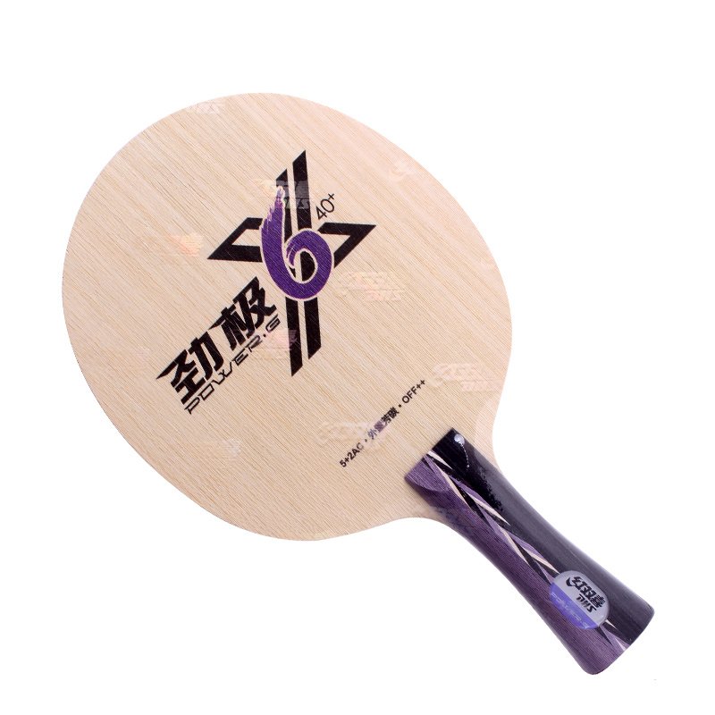 Vợt Đánh Bóng Bàn Bằng Carbon Chất Lượng Cao DHS POWER G PG 6X 6 X  ALC PG6X Ping Pong