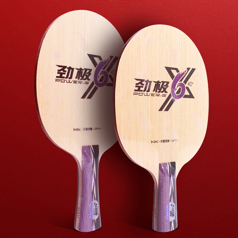 Vợt Đánh Bóng Bàn Bằng Carbon Chất Lượng Cao DHS POWER G PG 6X 6 X  ALC PG6X Ping Pong