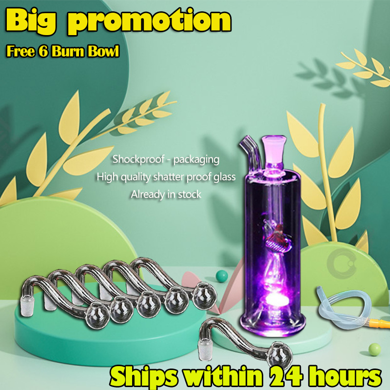 Bình Lọc Thủy Tinh mini Hình Cây Tre Độc Đáo