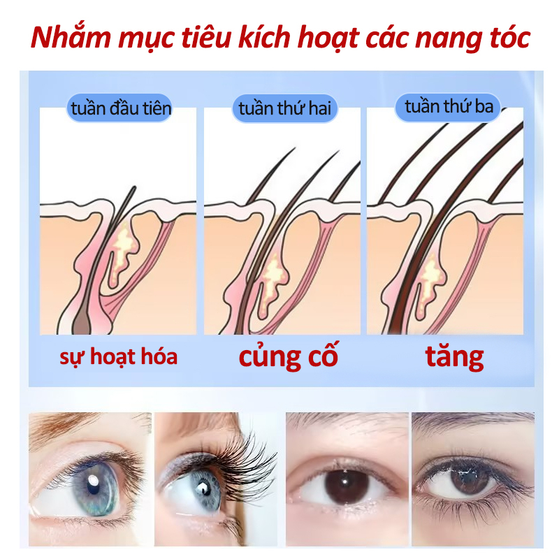 🔥 Rẻ nhất 🔥Dầu thầu dầu 10ml, tinh chất dưỡng dài mi, macara, tinh chất dưỡng mi, serum tăng trưởng lông mi, serum tăng trưởng lông