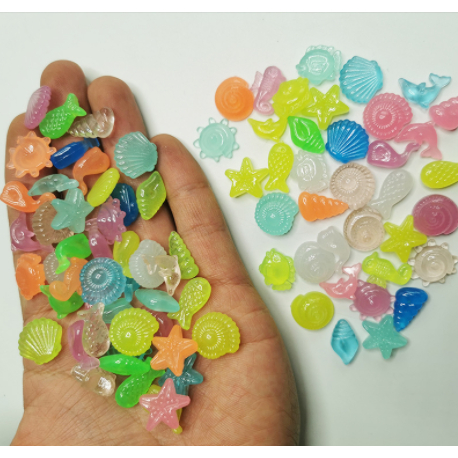 Vỏ Sò Dạ Quang Trang Trí Bể Cá