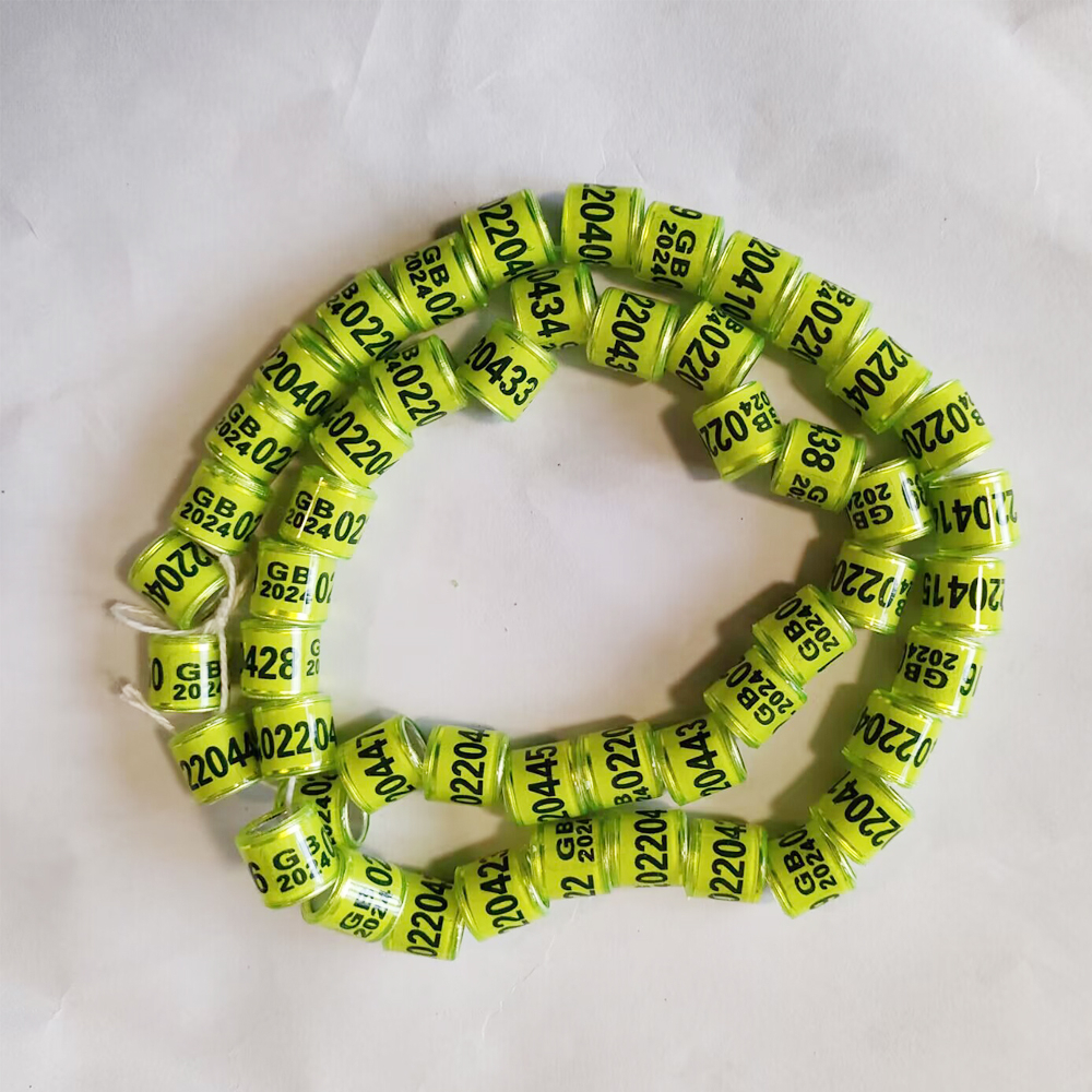 Bộ 50 2024 / 2025 Bồ Câu Chân Vòng 8 Mm Vẹt Chân Nhẫn Chim Dụng Cụ Huấn Luyện Series Số Pigeon Nhẫn