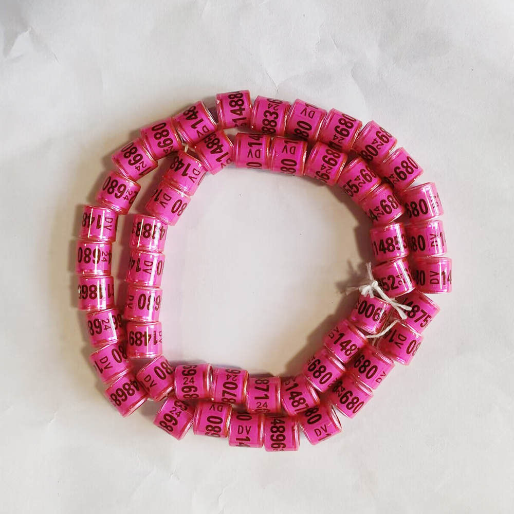 Bộ 50 2024 / 2025 Bồ Câu Chân Vòng 8 Mm Vẹt Chân Nhẫn Chim Dụng Cụ Huấn Luyện Series Số Pigeon Nhẫn