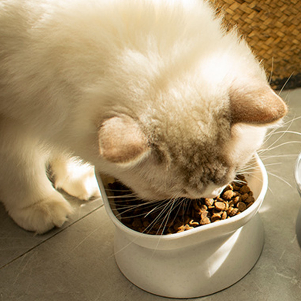 Elsabell. Bát ăn cho thú cưng Bảo vệ cổ nghiêng Dung tích cao Dễ dàng sinh chống trượt Kitty chó mèo
