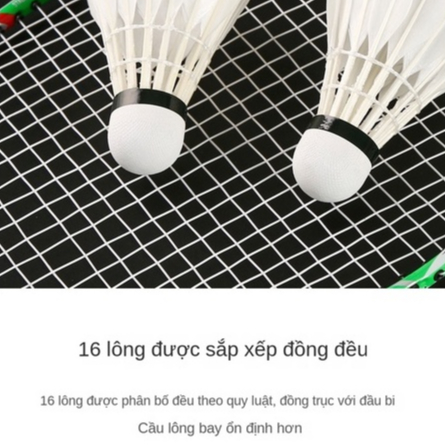 Cầu Lông Thành Công Ba Sao  Cái Tiêu Chuẩn Thi Đấu đào Tạo Bóng để Chơi ổn định Bóng Lông Vịt TTR042