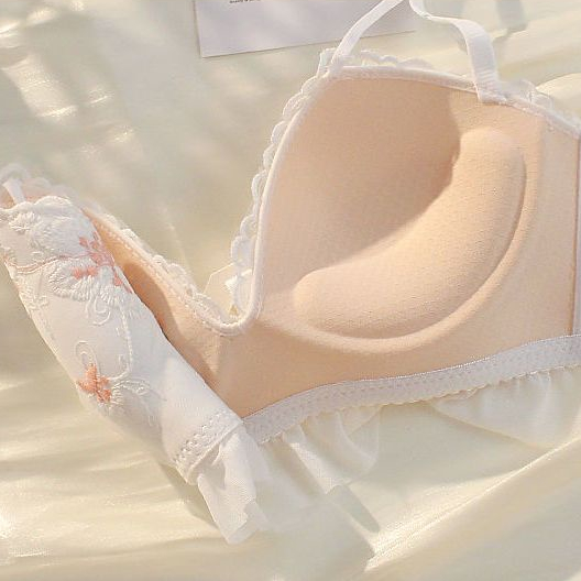 Áo Ngực Không Gọng Thép Chống Chảy Xệ Phong Cách Mới Cho Nữ