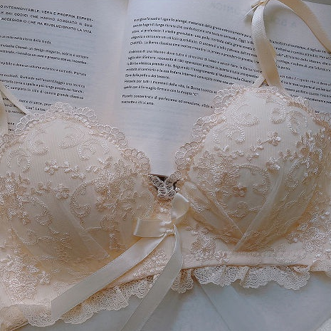 Bộ Đồ Lót Ren Không Gọng Thép Thêu Họa Tiết Xinh Xắn Theo Phong Cách Nhật Bản Dành Cho Nữ