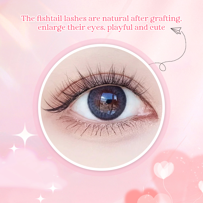 Bộ 60 Gói Lông Mi Giả 10D Kích Thước 8 10 12mm Tự Nhiên