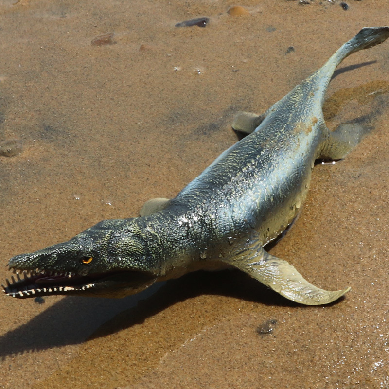 Đồ trang trí Sinh Vật Biển Kronosaurus Kronosaurus Đồ Chơi Giáo Dục Khoa Học Cho Bé