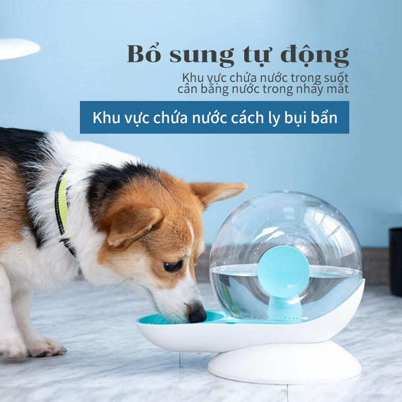 Domicoo 2.8L Máy Lọc Nước Tự Động Cho Mèo Máy Uống Nước Cho Mèo Bát Uống Nước Cho Mèo