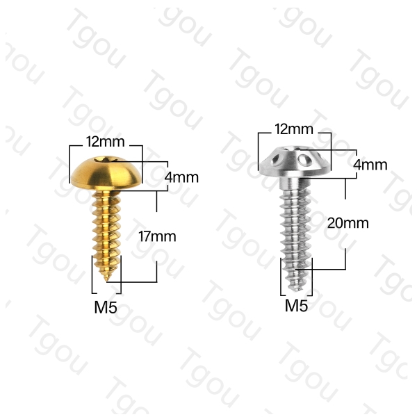 Ốc Vít Hợp Kim Titan M5x17 / 20mm Đầu Bán Nguyệt Cho Dù Xe Máy