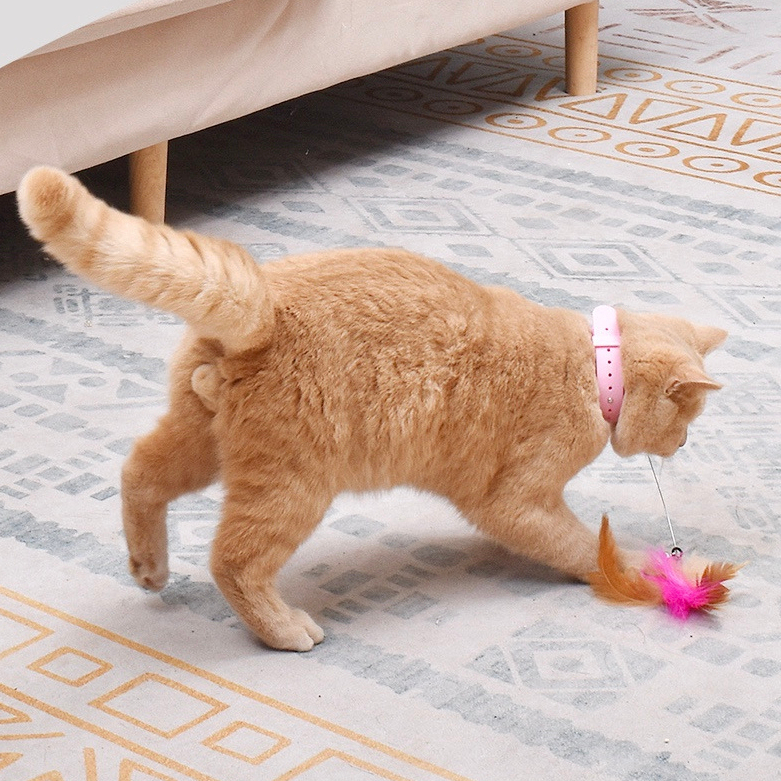 Elsabell. Cần câu mèo đeo cổ tự chơi, đồ chơi tự tương tác cho chó mèo