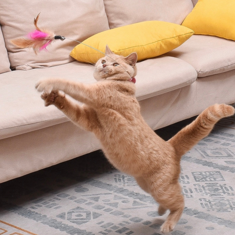 Elsabell. Cần câu mèo đeo cổ tự chơi, đồ chơi tự tương tác cho chó mèo