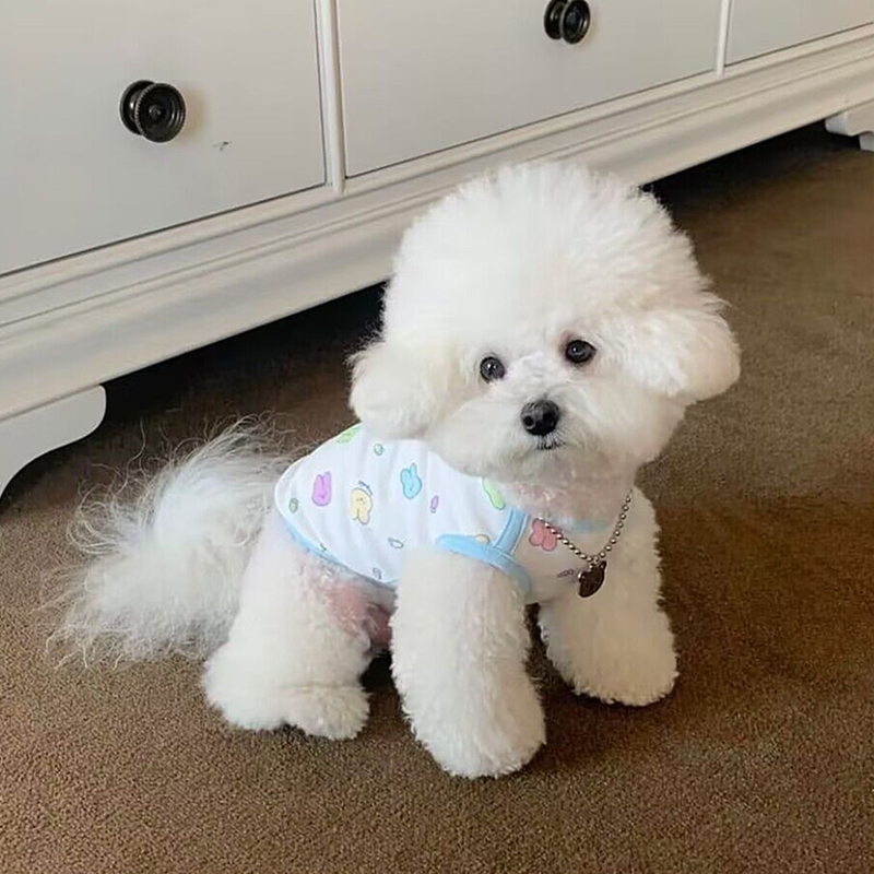 Áo Tank Top Mùa Hè Cho Thú Cưng