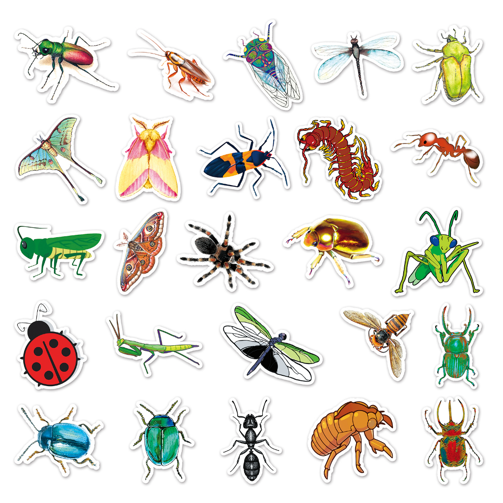 Bộ 50 Miếng Dán Trang Trí Xe Hơi Hình Côn Trùng Vui Nhộn Chống Thấm Nước DIY