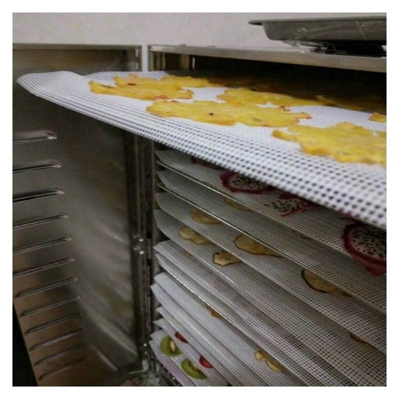 Bộ 5 Tấm Lưới Silicone Dùng Cho Máy Sấy Trái Cây