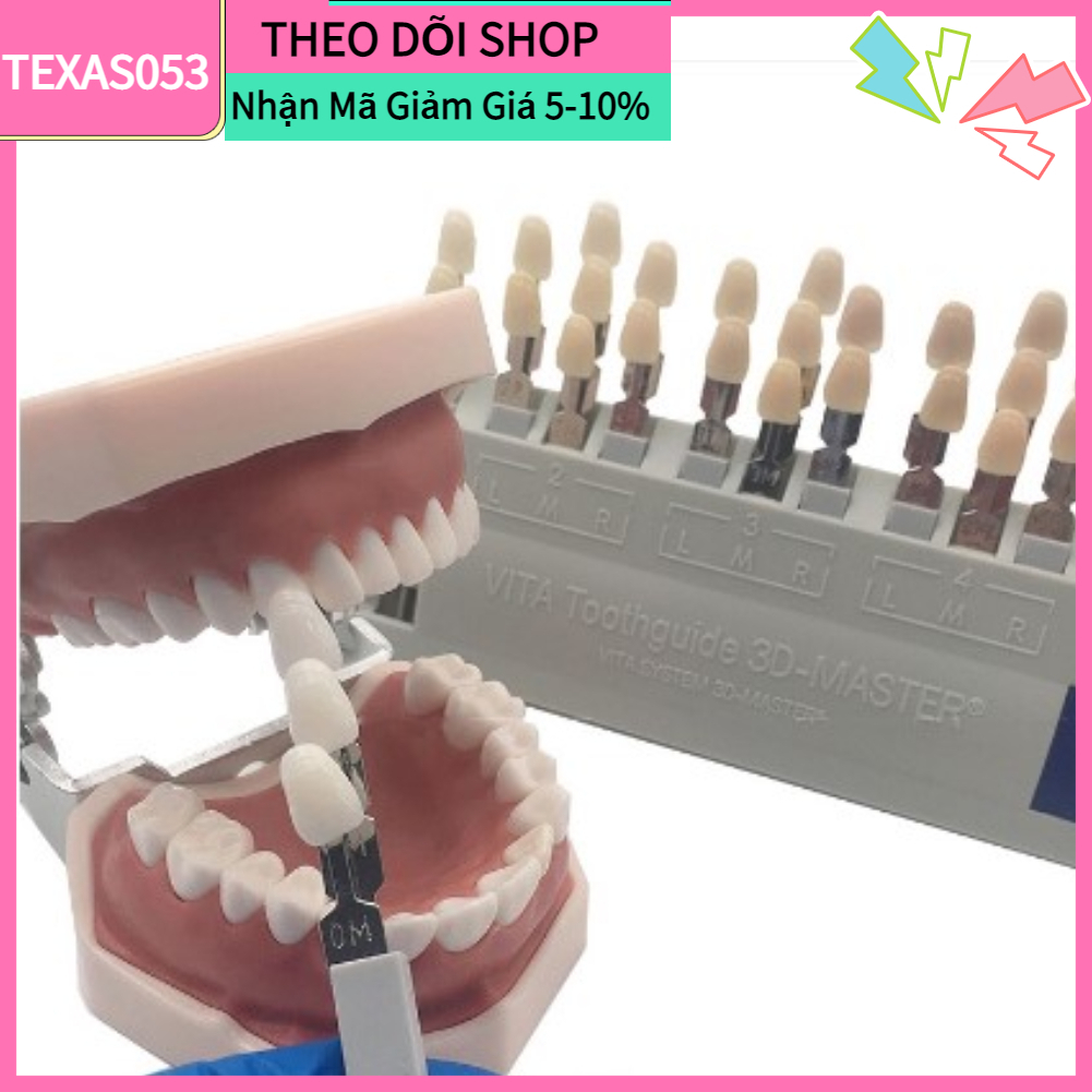 [Hàng Sẵn] Bảng so màu răng Vita 3D gồm 29 cây màu dchuyên dùng trong nha khoa có thể tháo rời【Texas053】
