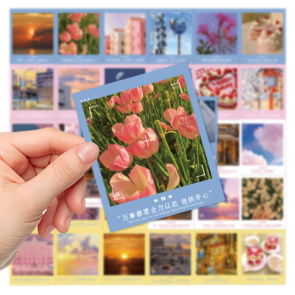 Bộ 40 Miếng Dán Pai Li De Chống Nước Trang Trí Điện Thoại / Máy Tính iPad