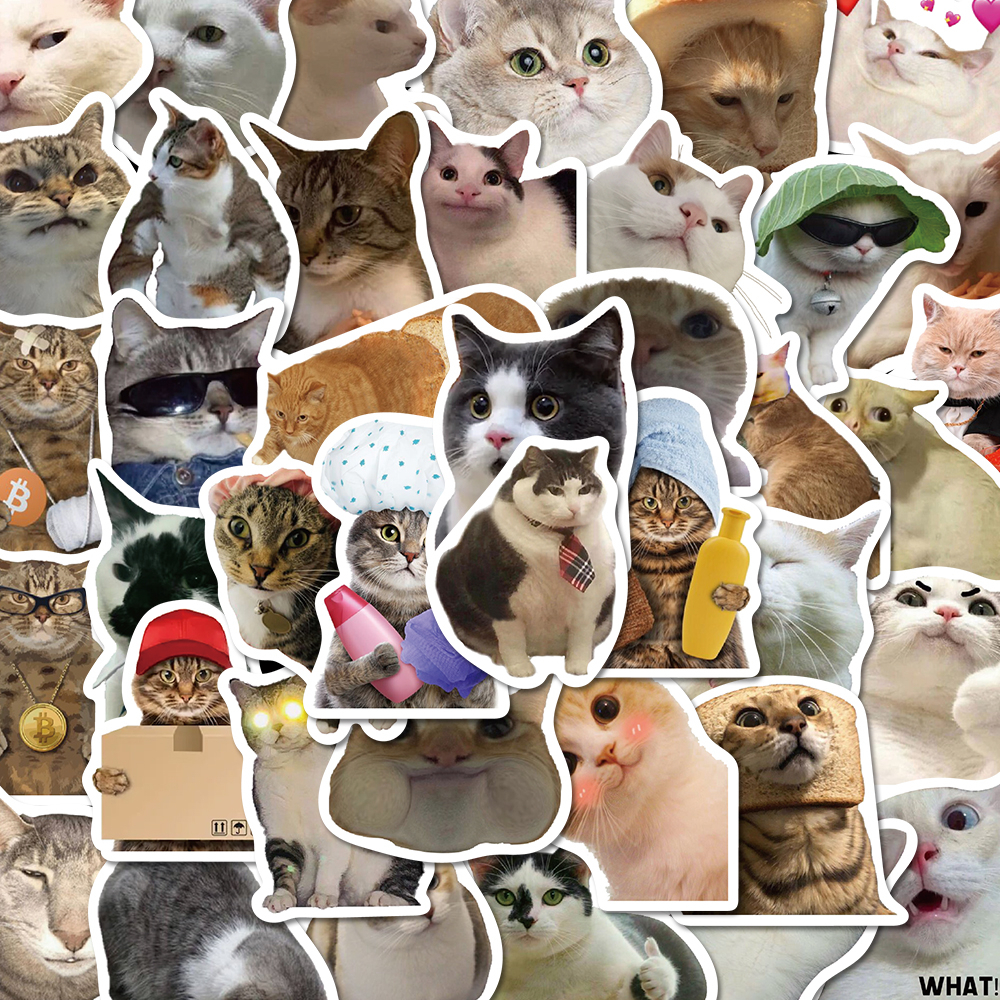 Bộ 50 Miếng Dán Trang Trí Điện Thoại / Máy Tính Chống Thấm Nước Hình Mèo Vui Nhộn Sáng Tạo
