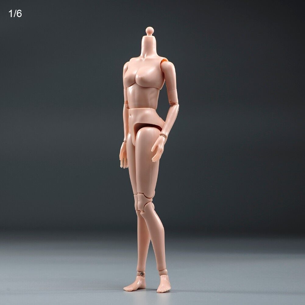 Mô Hình Cơ Thể Nữ PT021-A / B 1 / 6