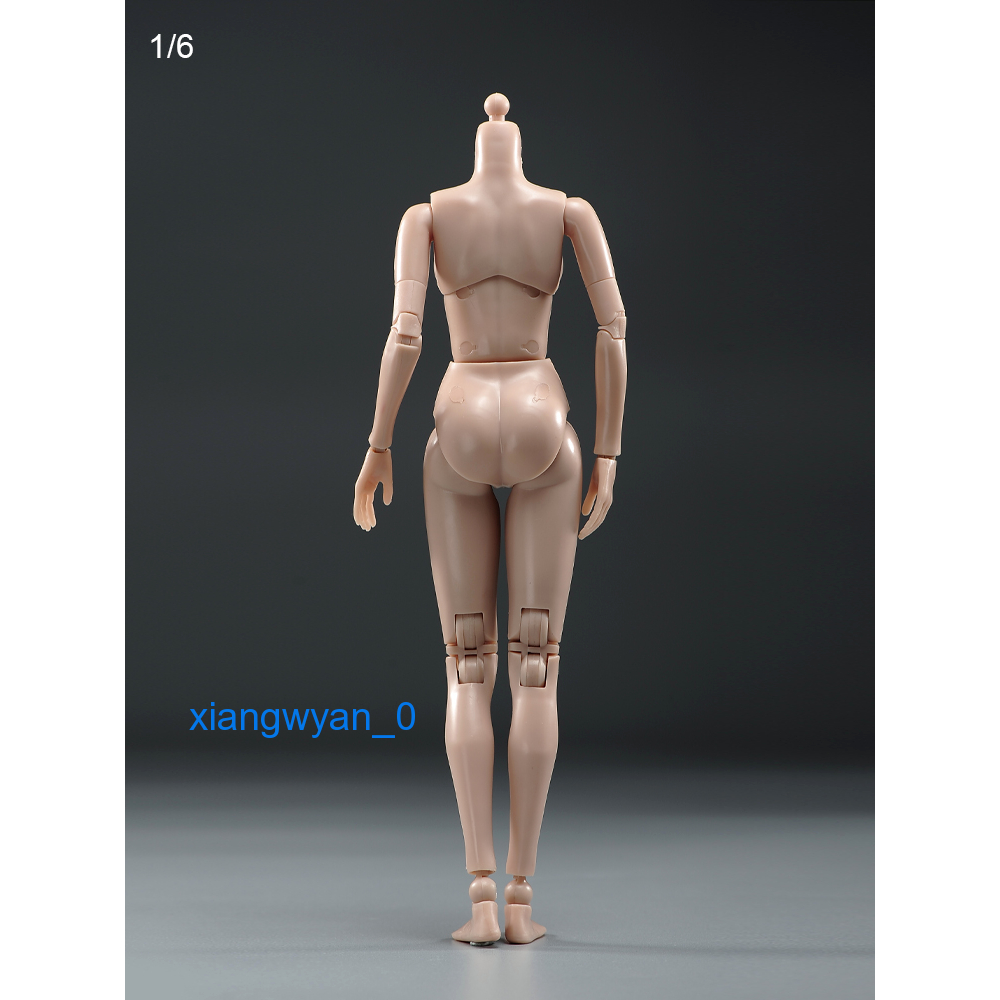 Mô Hình Cơ Thể Nữ PT021-A / B 1 / 6
