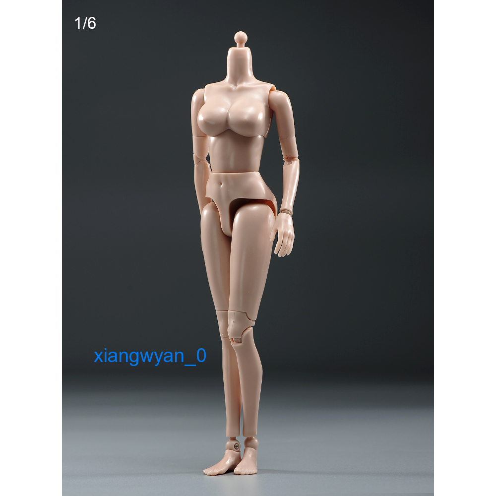 Mô Hình Cơ Thể Nữ PT021-A / B 1 / 6