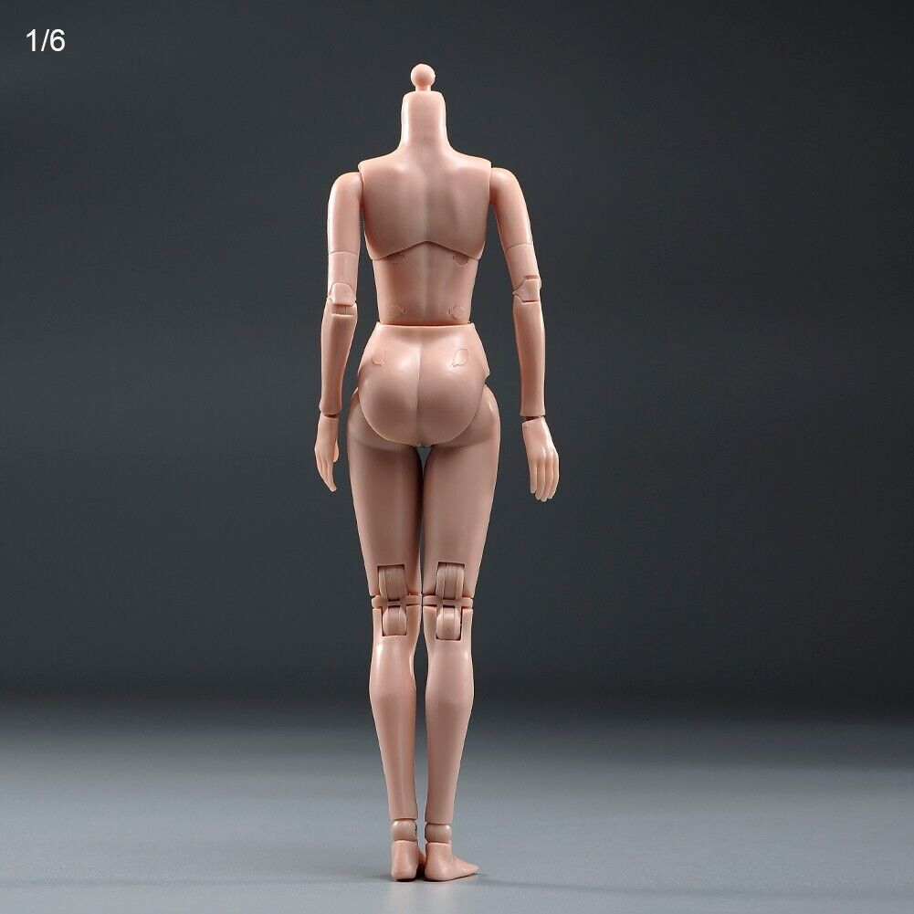Mô Hình Cơ Thể Nữ PT021-A / B 1 / 6