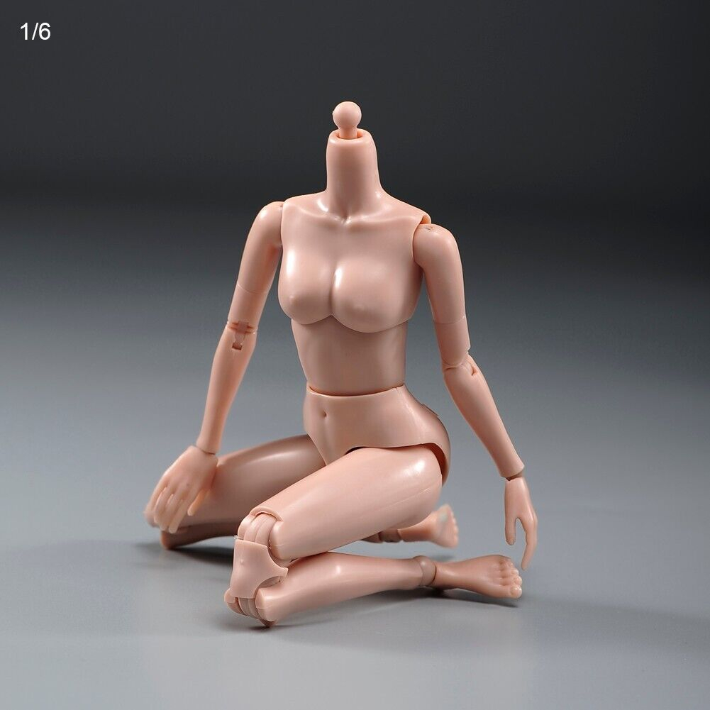 Mô Hình Cơ Thể Người Nữ PT021-A / B Tỉ Lệ 1 / 6