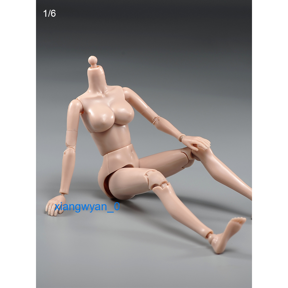 Mô Hình Cơ Thể Nữ PT021-A / B 1 / 6
