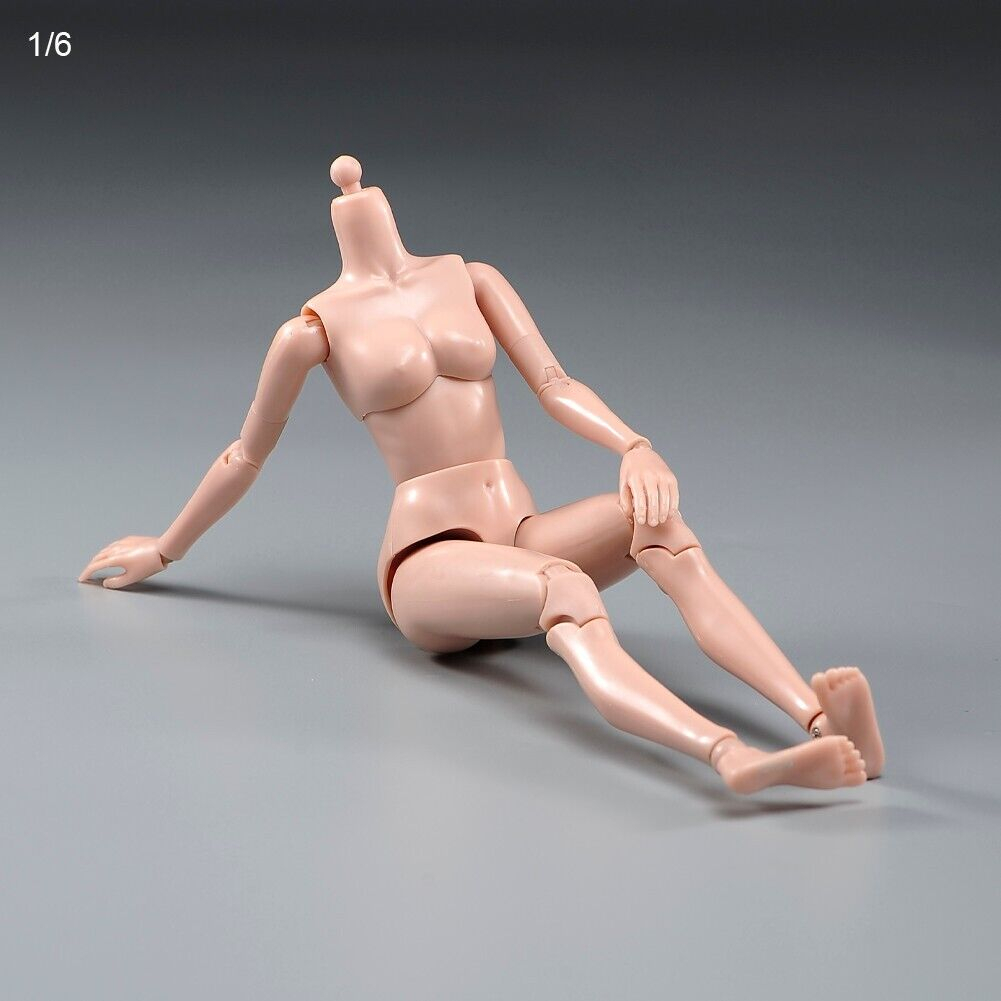 Mô Hình Cơ Thể Nữ PT021-A / B 1 / 6