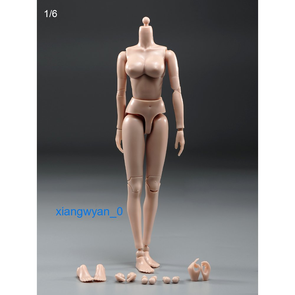Mô Hình Cơ Thể Nữ PT021-A / B 1 / 6