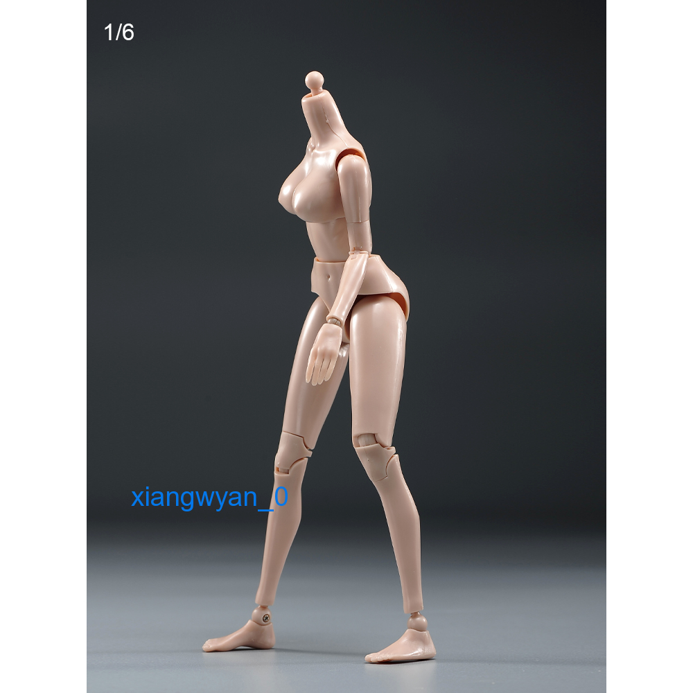 Mô Hình Cơ Thể Người Nữ PT021-A / B Tỉ Lệ 1 / 6