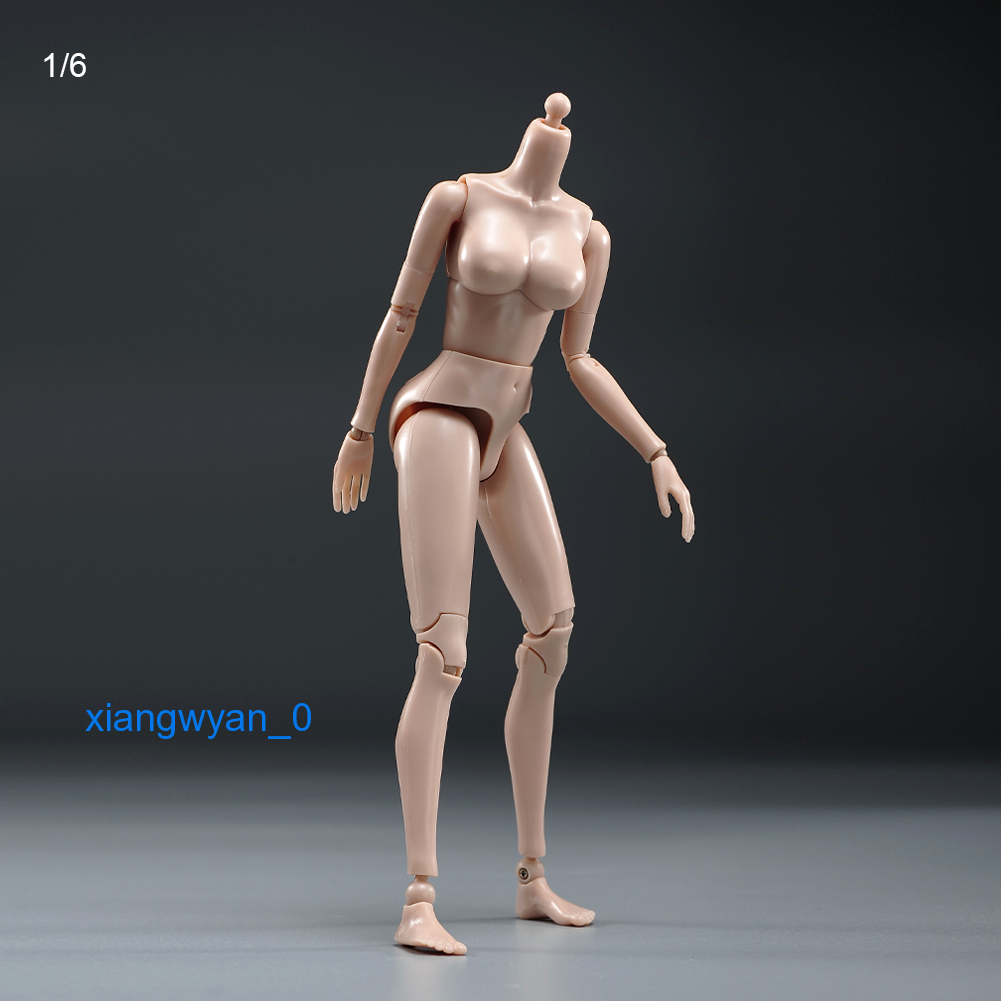 Mô Hình Cơ Thể Nữ PT021-A / B 1 / 6