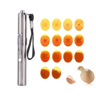 1 móc khóa lồng ấp trứng bằng thép không gỉ