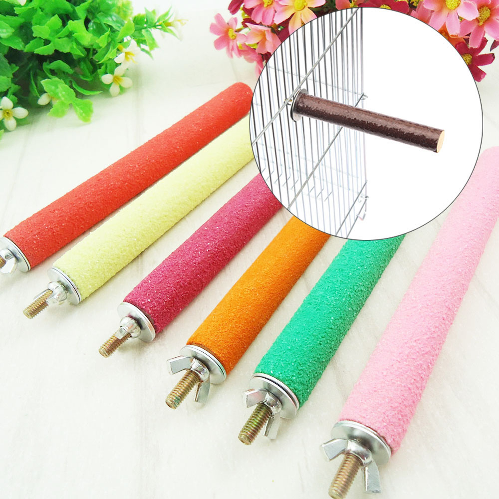 Giá Đỡ Đứng 5-25cm Chuyên Dụng Cho Chim Vẹt
