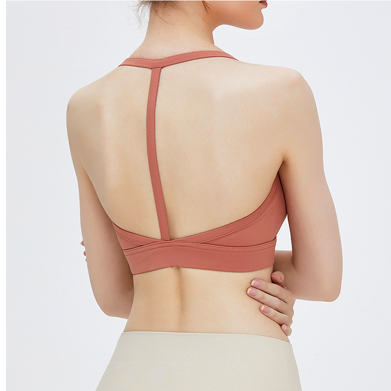 Áo bra Thể Thao Có Dây Đeo Cổ Lưng Đẹp Dành Cho Nữ