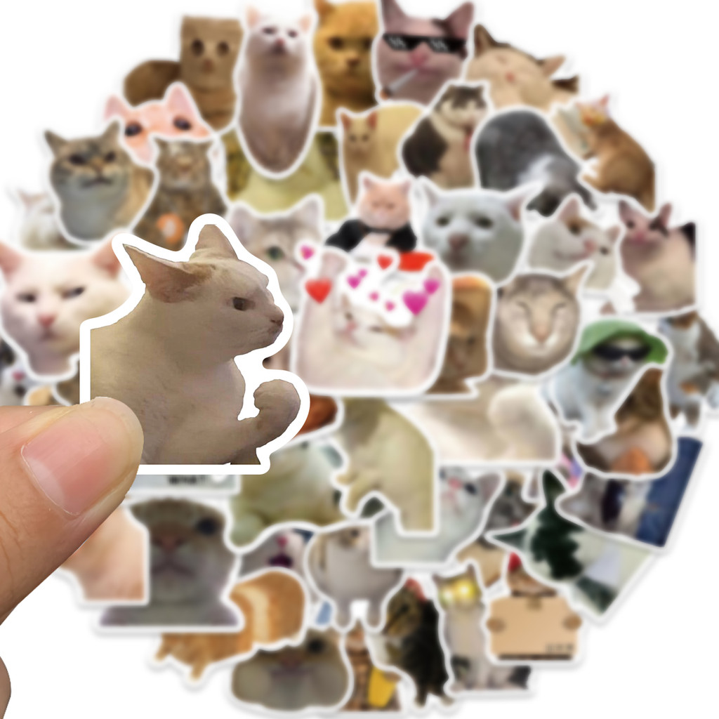 Bộ 50 Miếng Dán Hình Mèo Graffiti Dễ Thương Chống Thấm Nước Trang Trí Vali Laptop Xe Hơi Thể Thao DIY