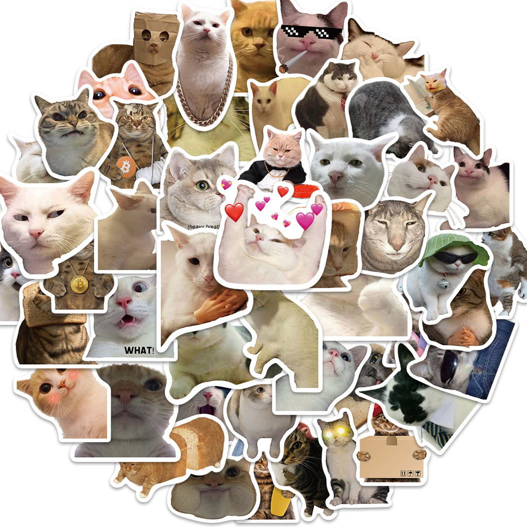 Bộ 50 Miếng Dán Hình Mèo Graffiti Dễ Thương Chống Thấm Nước Trang Trí Vali Laptop Xe Hơi Thể Thao DIY