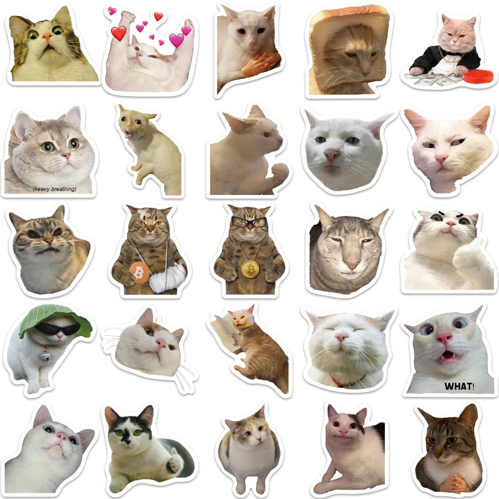 Bộ 50 Miếng Dán Hình Mèo Graffiti Dễ Thương Chống Thấm Nước Trang Trí Vali Laptop Xe Hơi Thể Thao DIY