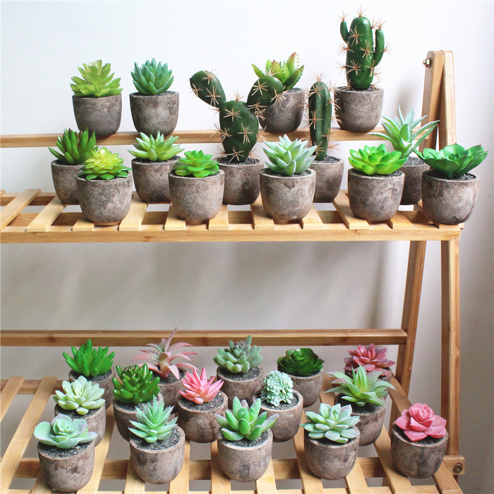 Cây mọng nước xanh nhân tạo Cây Bonsai giả với chậu cây nhỏ trang trí trang trí nhà để bàn