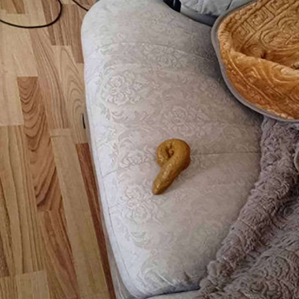 Đồ chơi hình dạng ngộ nghĩnh T29 thiết kế 6 hình dạng vui nhộn giống y như thật