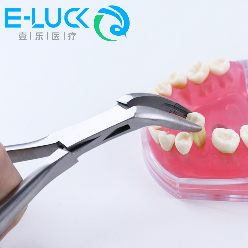 1 Nhíp Chiết Xuất Răng Nha Khoa Chuyên Dụng Chất Lượng Cao